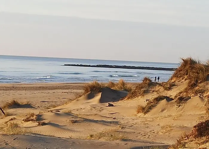 T2 Rdc Avec Jardin, Cap D\'Agde, Secteur Falaise, 100 M Plage, Clim, Wifi, Parking